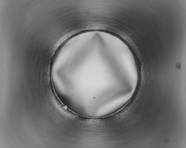 X0000112790842200909111210