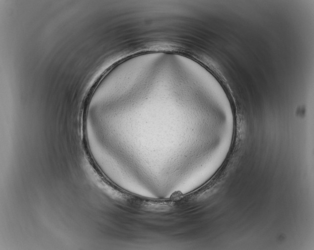 X0000112790843200909111210