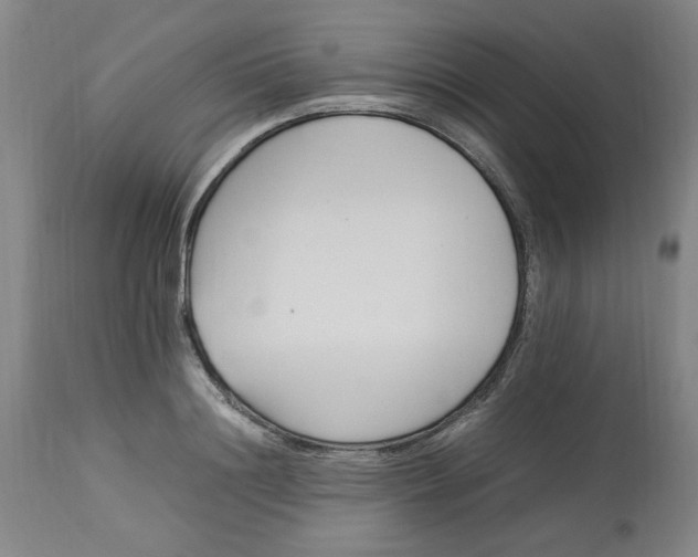 X0000112790844200909111210