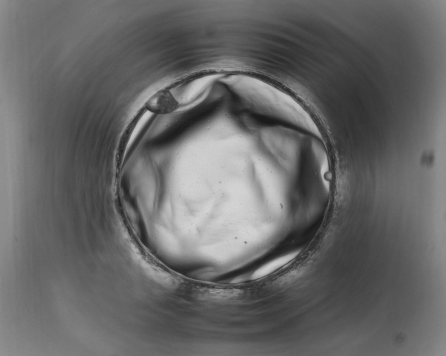 X0000112790845200909111210