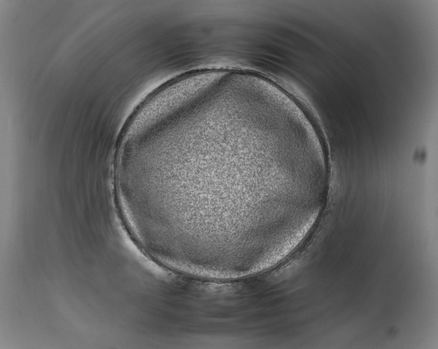 X0000112790847200909111210