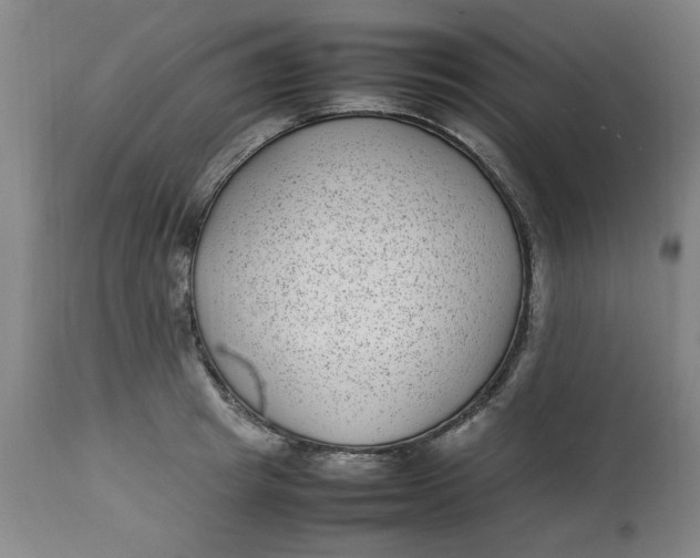 X0000112790849200909111210