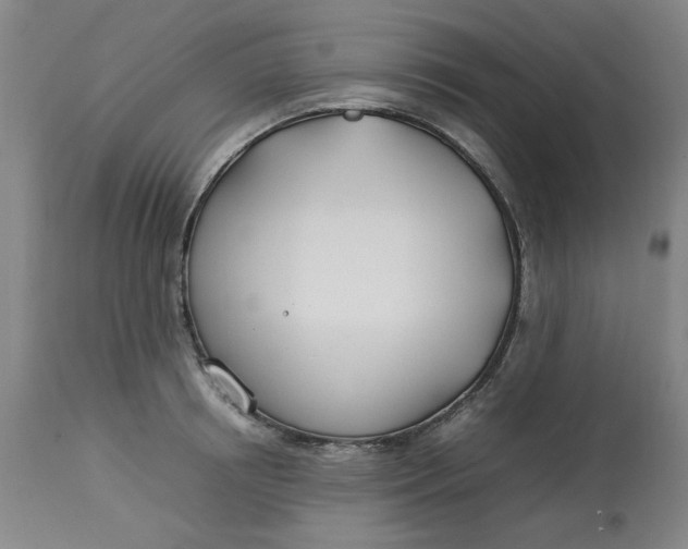 X0000112790850200909111210