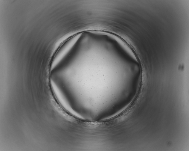 X0000112790854200909111210