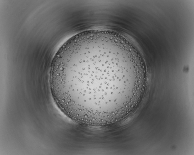 X0000112790855200909111210