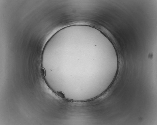 X0000112790860200909111210