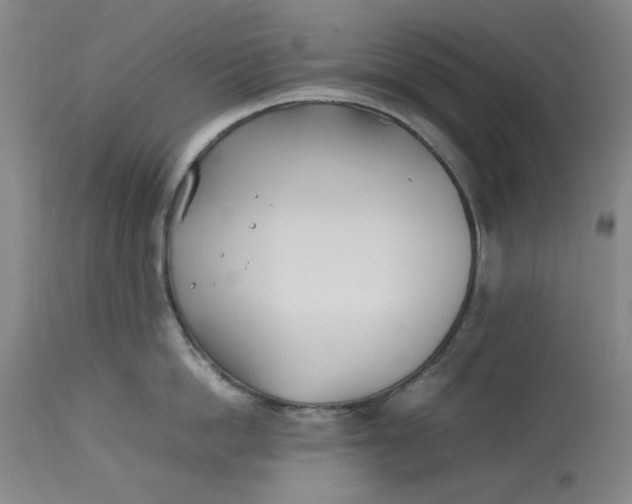 X0000112790862200909111210