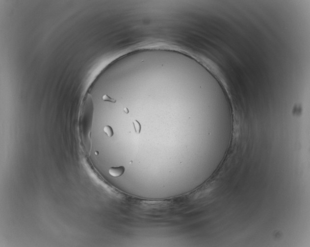 X0000112790863200909111210