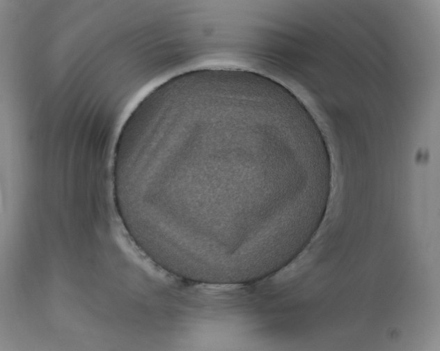 X0000112790864200909111210