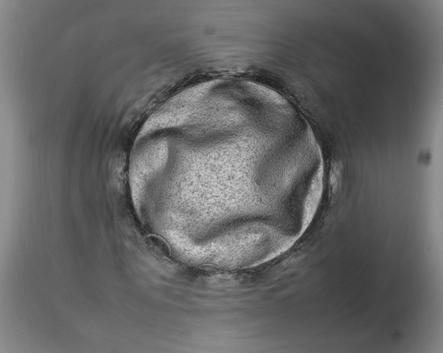 X0000112790867200909111209