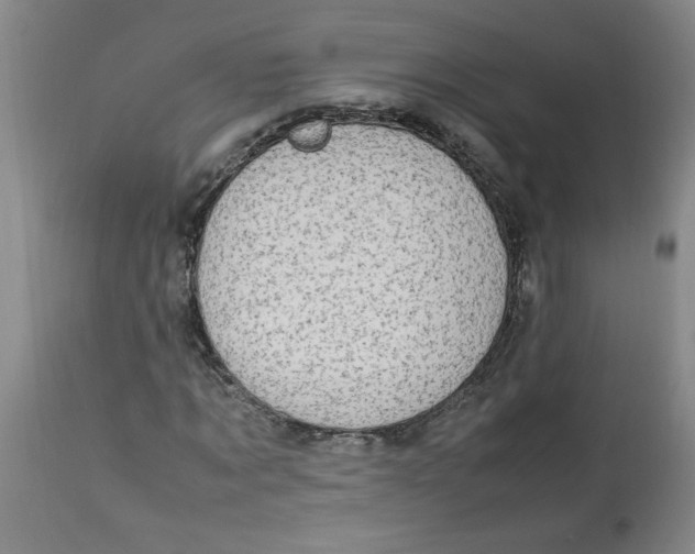 X0000112790869200909111209