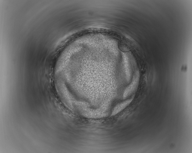 X0000112790870200909111209