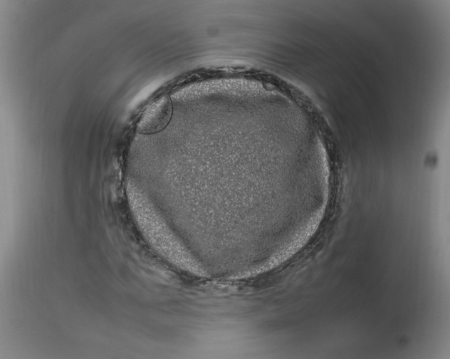 X0000112790871200909111209