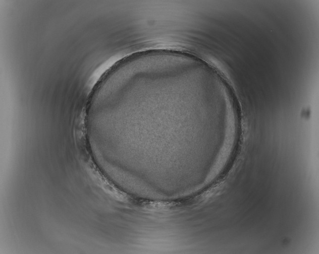 X0000112790875200909111209