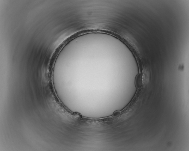 X0000112790876200909111209