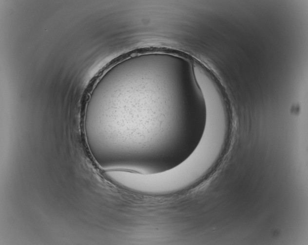 X0000112790877200909111209