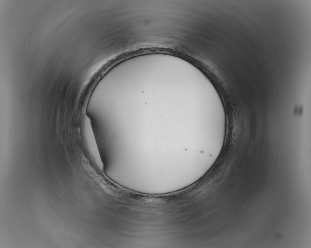 X0000112790878200909111209