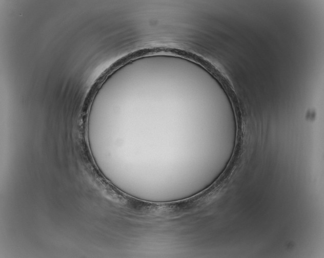 X0000112790879200909111209