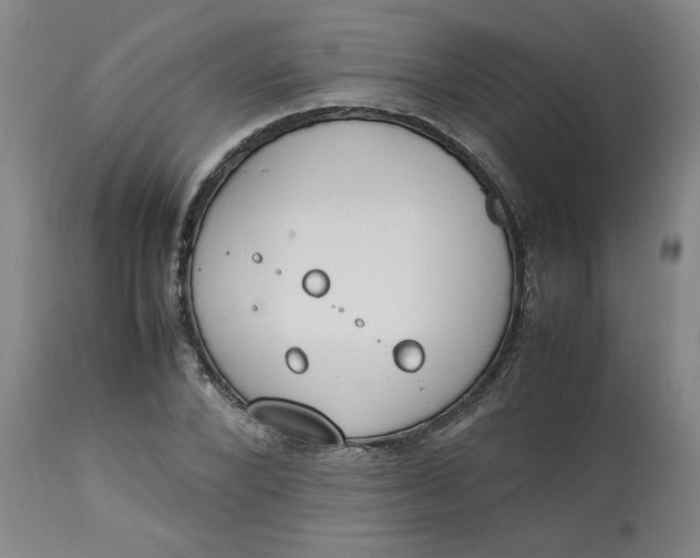 X0000112790880200909111209