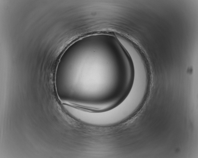 X0000112790881200909111209