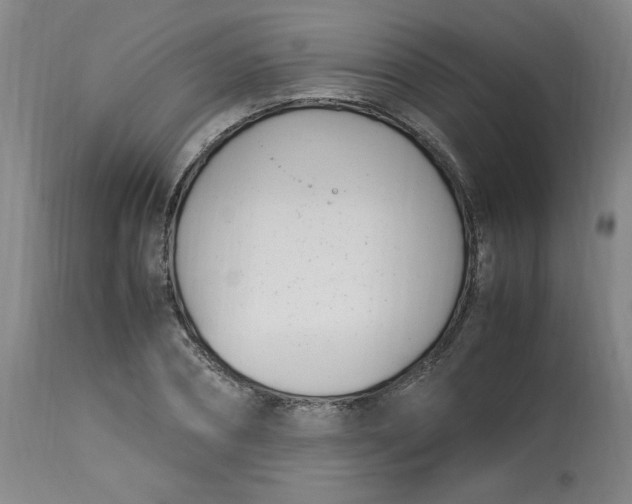 X0000112790882200909111209