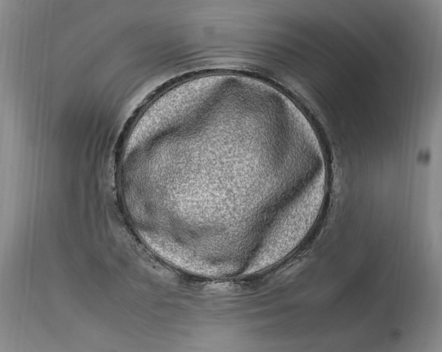 X0000112790883200909111209