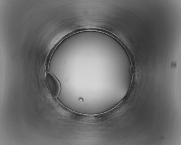 X0000112790885200909111209