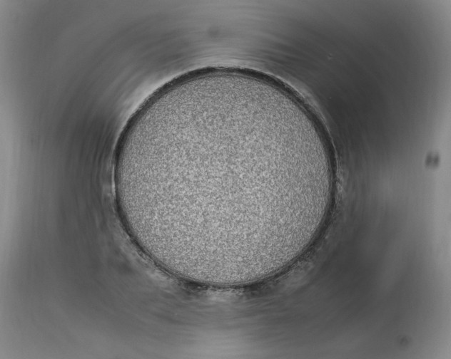 X0000112790887200909111209