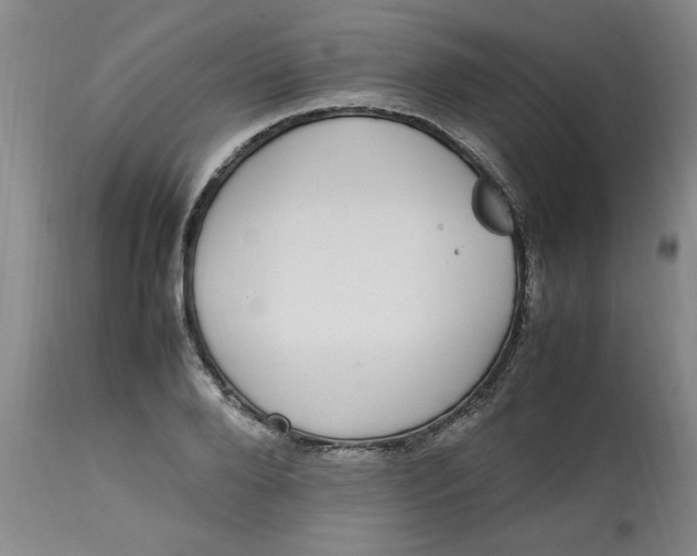 X0000112790888200909111209