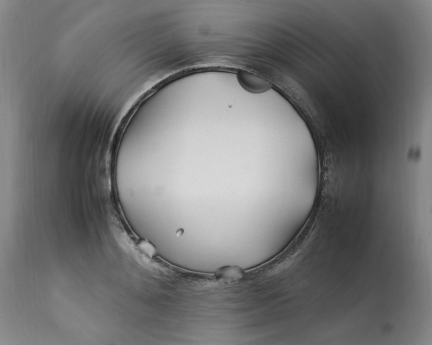 X0000112790892200909111209