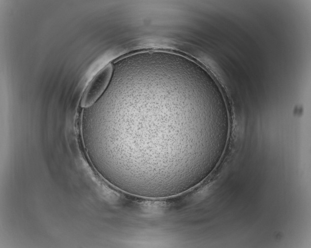 X0000112790893200909111209