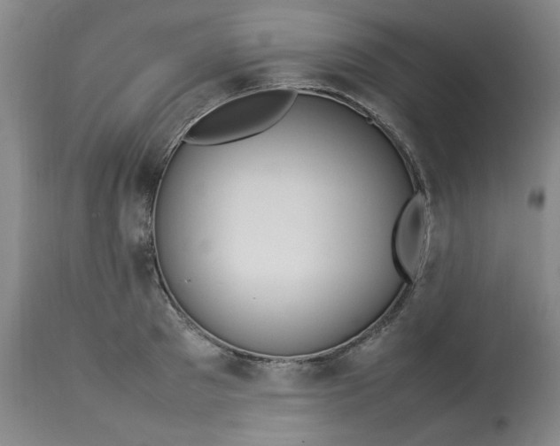 X0000112790897200909111209