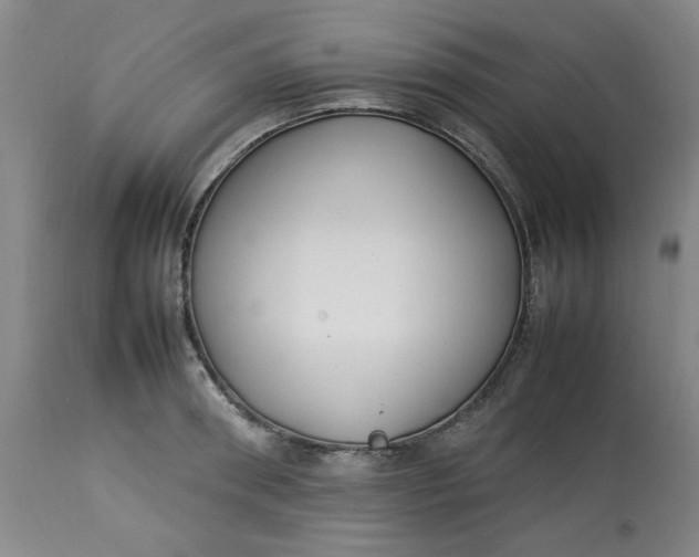 X0000112790898200909111209