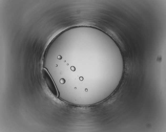 X0000112790900200909111209