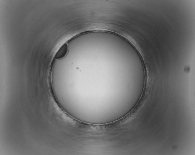 X0000112790901200909111209