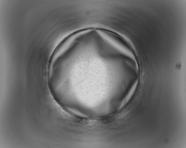 X0000112790903200909111209