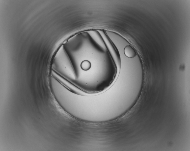 X0000112790904200909111209