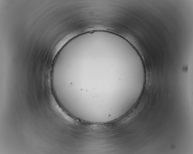 X0000112790906200909111209