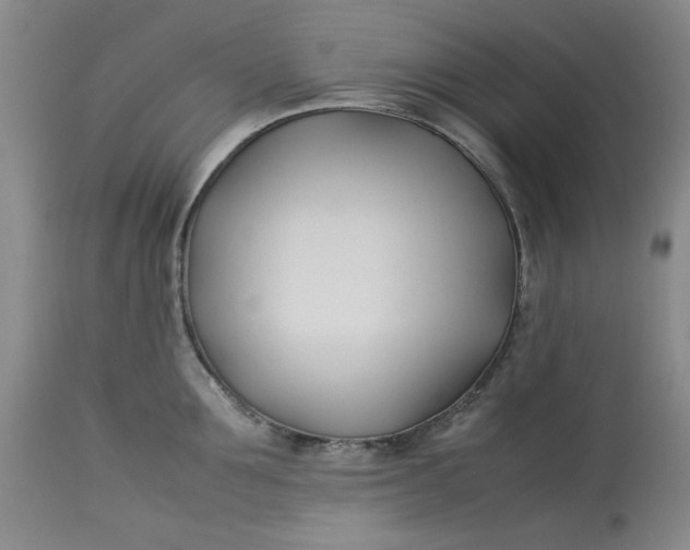 X0000112790907200909111209