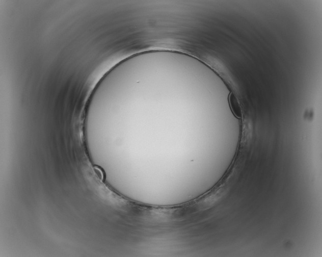 X0000112790908200909111209