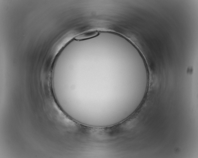 X0000112790909200909111208