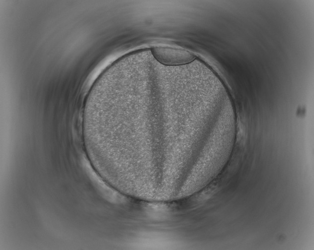 X0000112790911200909111208