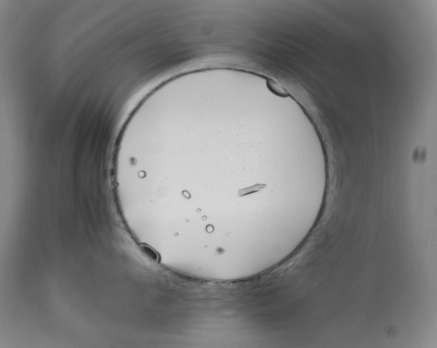 X0000112790912200909111208