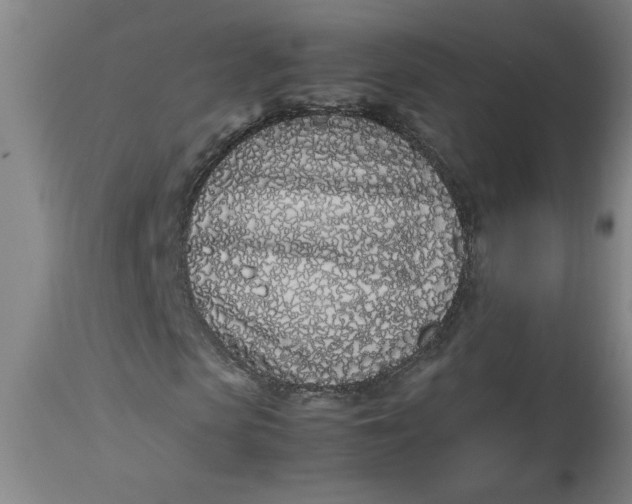 X0000112790913200909111208