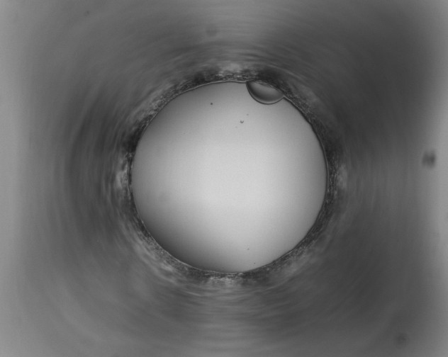 X0000112790914200909111208