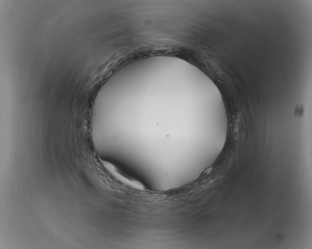 X0000112790916200909111208