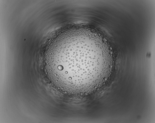 X0000112790917200909111208