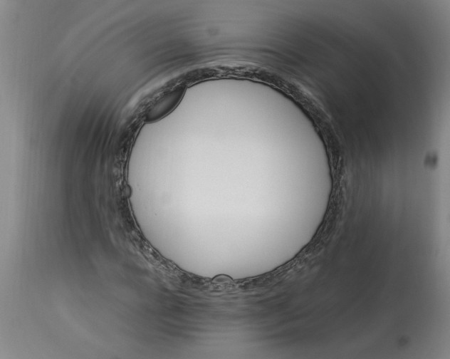 X0000112790920200909111208