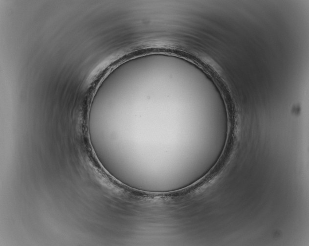 X0000112790922200909111208