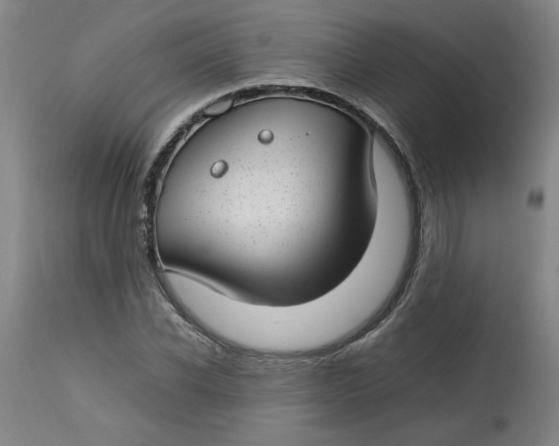 X0000112790926200909111208